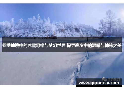 冬季仙境中的冰雪奇缘与梦幻世界 探寻寒冷中的温暖与神秘之美